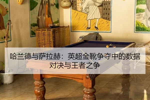 ha-lan-de-yu-sa-la-he-ying-chao-jin-xue-zheng-duo-zhong-de-shu-ju-dui-jue-yu-wang-zhe-zhi-zheng-3-466.jpg