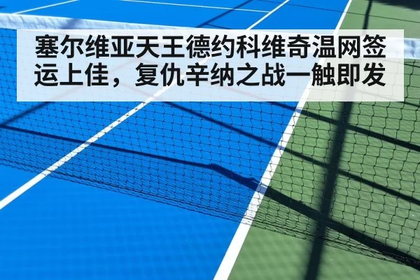 塞尔维亚天王德约科维奇温网签运上佳，复仇辛纳之战一触即发